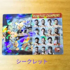 Item thumbnail for item 8cf292ca-3148-4c9c-b19f-24725e8786c9