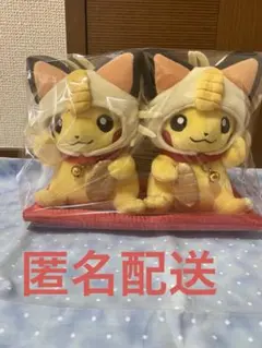 2025年最新】マンスリーピカチュウ ぬいぐるみの人気アイテム - メルカリ