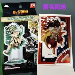 Dr.STONE 獅子王司 ビッグアクリルスタンド