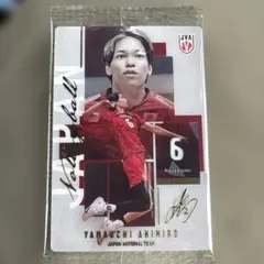 バレーボール男子日本代表 山内晶大 トレーディングカード