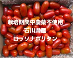 ロッソナポリタンのサムネイル