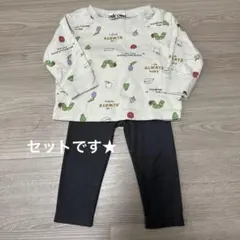 はらぺこあおむし薄手トレーナー、レギンス　セット　80cm