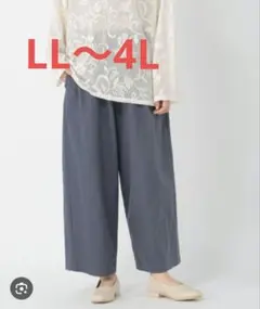 ドライストレッチイージーワイドパンツ LL〜4L