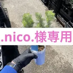 .nico.様専用のサムネイル