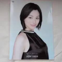 本上まなみさん　大同生命 クリアファイル