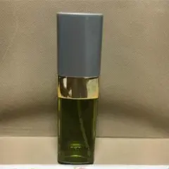 シャネル 香水 No19〈100ml〉