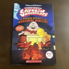 洋書　英語児童書　コラージュ　ジャーナル　ジャンクジャーナル　読みもの