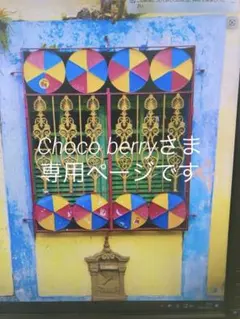 Choco berryさま専用ページです♡