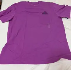 GAP ブラナンベアポケット グラフィックTシャツ