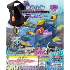 海洋生物 キーホルダー チンアナゴ