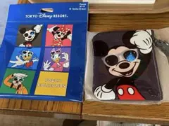 ディズニー ランダム ミッキー