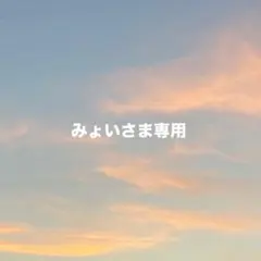 リボンデザイン ネイルチップ 10個セット