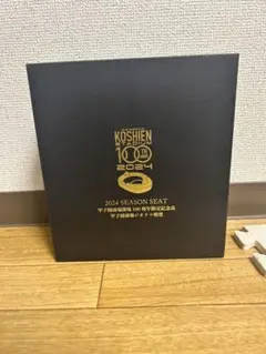 2024 Koshien Season Seat