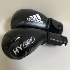 グローブ ボクシング