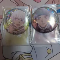 ミ*】様 名探偵コナン　彩光キラキラ　カンバッジコレクション　2