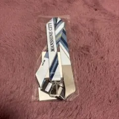 Item thumbnail for item b77307a3-a3ae-46eb-926b-4b599c914d3a