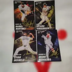 プロ野球チップス　サインカードセット