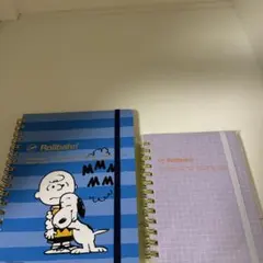 り*く様 Rollbahn スヌーピー ノートサイズL,M