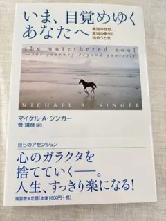 いま、目覚めゆくあなたへ　マイケル・A・シンガー