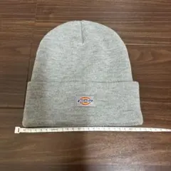 Dickies ニット帽 ビーニー グレー スノボ スキー