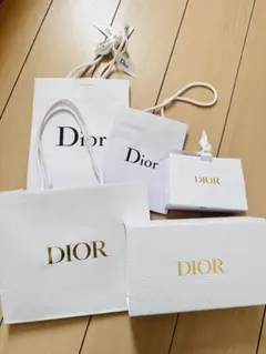 クリスチャンディオール　DIOR ギフト袋