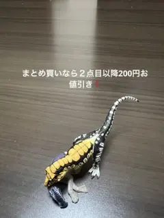 チョコラザウルス4 SP08 タルボサウルス白