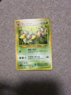 2026年最新】キレイハナ 旧の人気アイテム - メルカリ