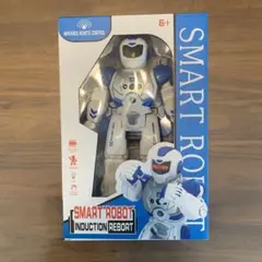 SMART ROBOT INDUCTION REBORT