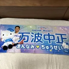 万波中正　北海道日本ハムファイターズ　かわいいシリーズタオル