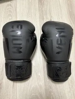 Venum ボクシンググローブ ブラック　16オンス luxurious-store_challenger3gloves