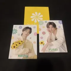 八木勇征 木村彗人 フォトカードセット