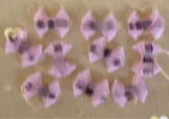 マメ製品様 リクエスト 4点 まとめ商品