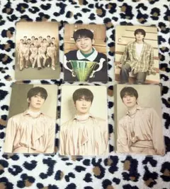 seventeen セブチ ウォヌ WONWOO トレカ まとめ売り