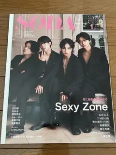 ★美品★ SODA 2024年1月号