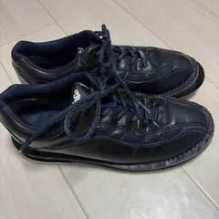 Item thumbnail for item 3f910827-ec66-4c3c-a35e-6ee1307d7963