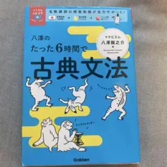 八澤のたった6時間で古典文法
