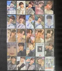 &TEAM EJ ウィジュ 五月雨 青嵐 十五夜 雪明かり 月狼 BTL