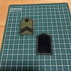 陸上自衛隊