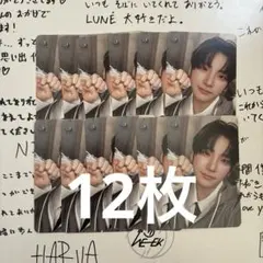 &TEAM Back to Life YUMA 12枚