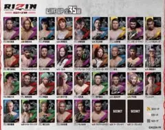 RIZINウエハース　コンプリート