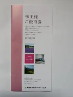 東急不動産ホールディングス　株主優待券・スポーツ優待券セット