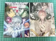 文豪ストレイドッグス DEAD APPLE /太宰を拾った日 2冊セット