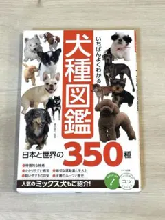いちばんよくわかる犬種図鑑 350種 メイツ出版