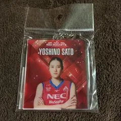 NECレッドロケッツ川崎 佐藤淑乃 アクリルスタンド バレーボール女子 