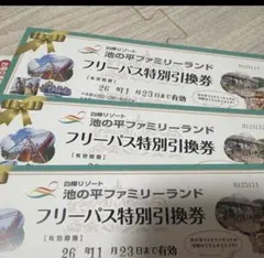 ファミリーロッジ 旅籠屋 無料宿泊券 - メルカリ