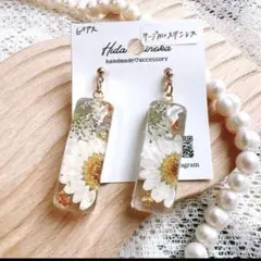 限定うる艶ドライフラワー押し花揺れる お花ガラス可愛いハンドメイドピアイヤリング