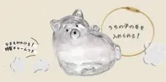 【うちの子のけだまだま犬】 ペテモ限定 たち耳クリア