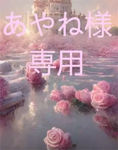 あやね様専用ページとなります。お手続きよろしくお願いいたします。