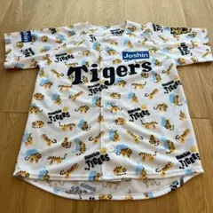 Item thumbnail for item 2df480a0-2fd3-41a3-a72a-73e0f40140b7