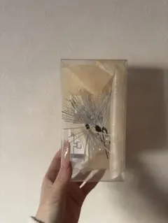 Item thumbnail for item 3b75c9c9-bd90-495d-bbe8-e5057851cefb